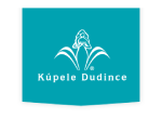 dudince